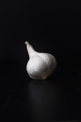 大蒜头写真图片