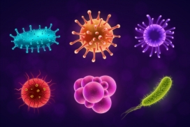 浮游微生物卡通素材