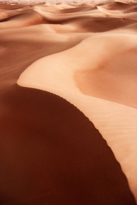 Desert. My Home-我的沙漠之家