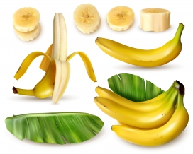 逼真的香蕉水果与香蕉树叶