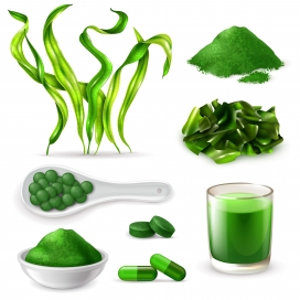 绿色螺旋藻素材