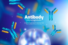 蓝色抗体免疫球蛋白分子背景