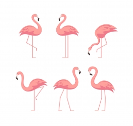 不同姿势扁平风格的火烈鸟集合