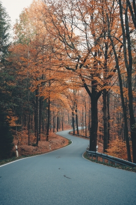 秋季的公园马路