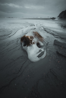 壮观的海边风景黑白图