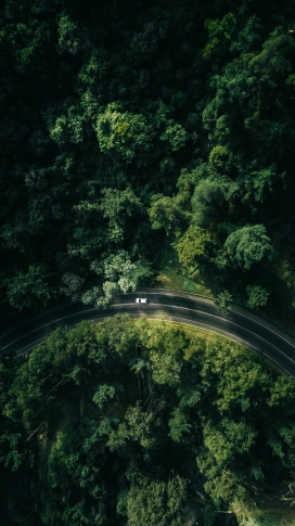 高空俯拍的半圆绿色公路