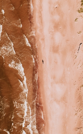 棕黄色的海滩图片