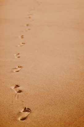 清晰的沙漠脚印