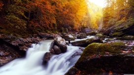 唯美的森林瀑布溪流