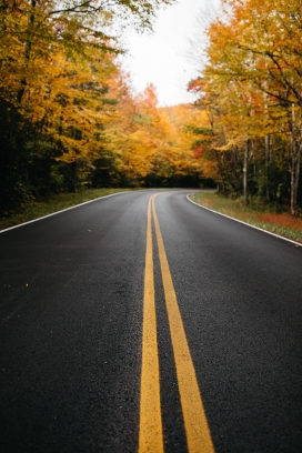 秋季的双黄线马路