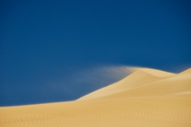 起风的黄金沙漠