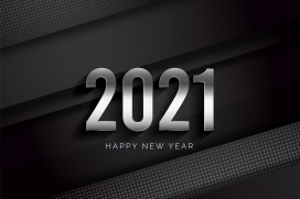 金属银色拉丝2021立体字