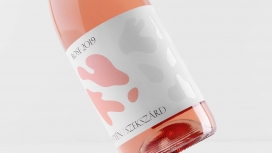 既时髦又精致的Sebestyén酒