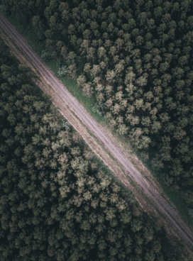 俯拍的森林公路