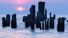 夕阳西下的河中木桩