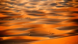 金灿灿的波浪沙丘