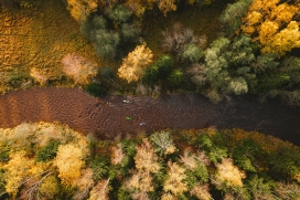 高空俯拍的森林河流河岸