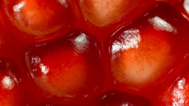 红色石榴水果图片