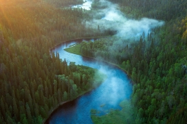森林蜿蜒的河流