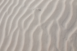 泛白色沙漠沙丘