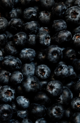 黑色蓝莓桑葚水果