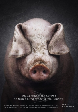 动物的权利-瑞士基金会保护动物公益平面广告