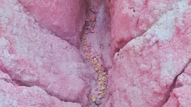 Painted Earth-彩绘土