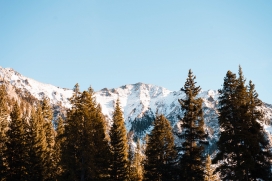 阿尔卑斯山的冬季风景图片
