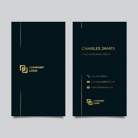 高大上的黑色金箔名片素材下载