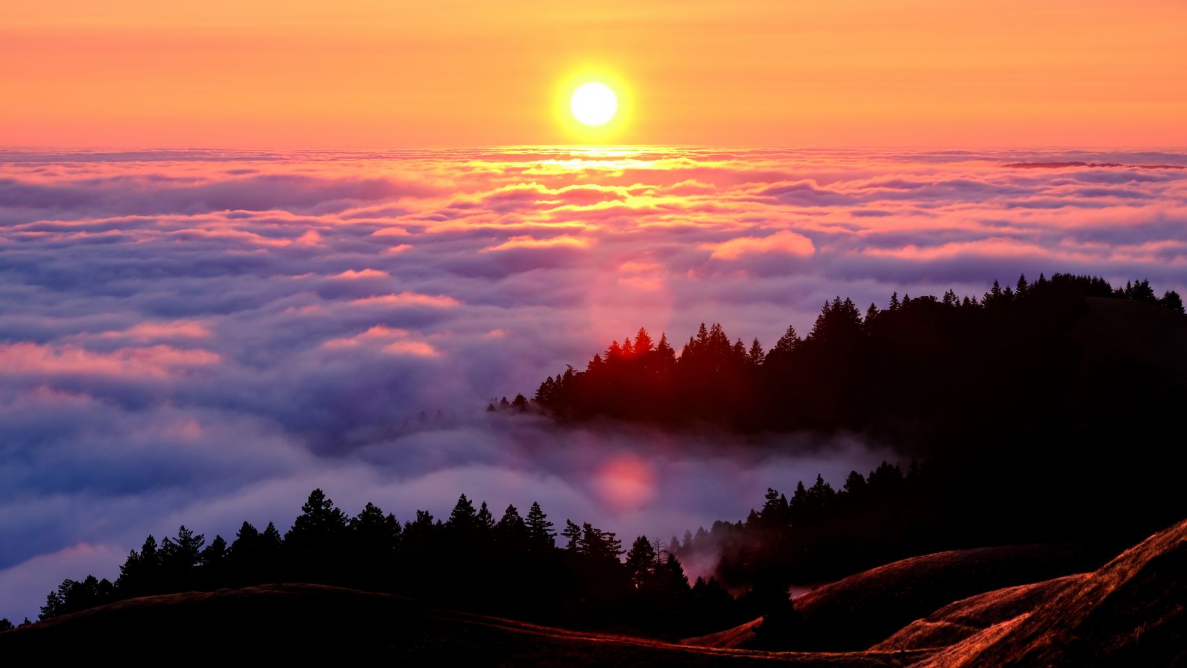 日出东方美图图片