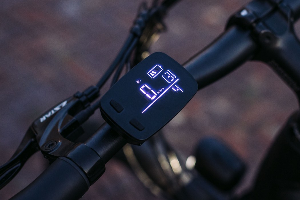 可调节的座椅和其他细节确保任何人都可以骑自行车,而背面的托架则为您提供了将货物固定在您身后的传统选择。这款自行车符合美国和英国的标准和速度限制