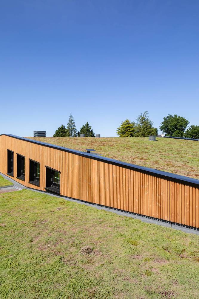 法国1250平米的Rene Cassin学校食堂---酷图编号17