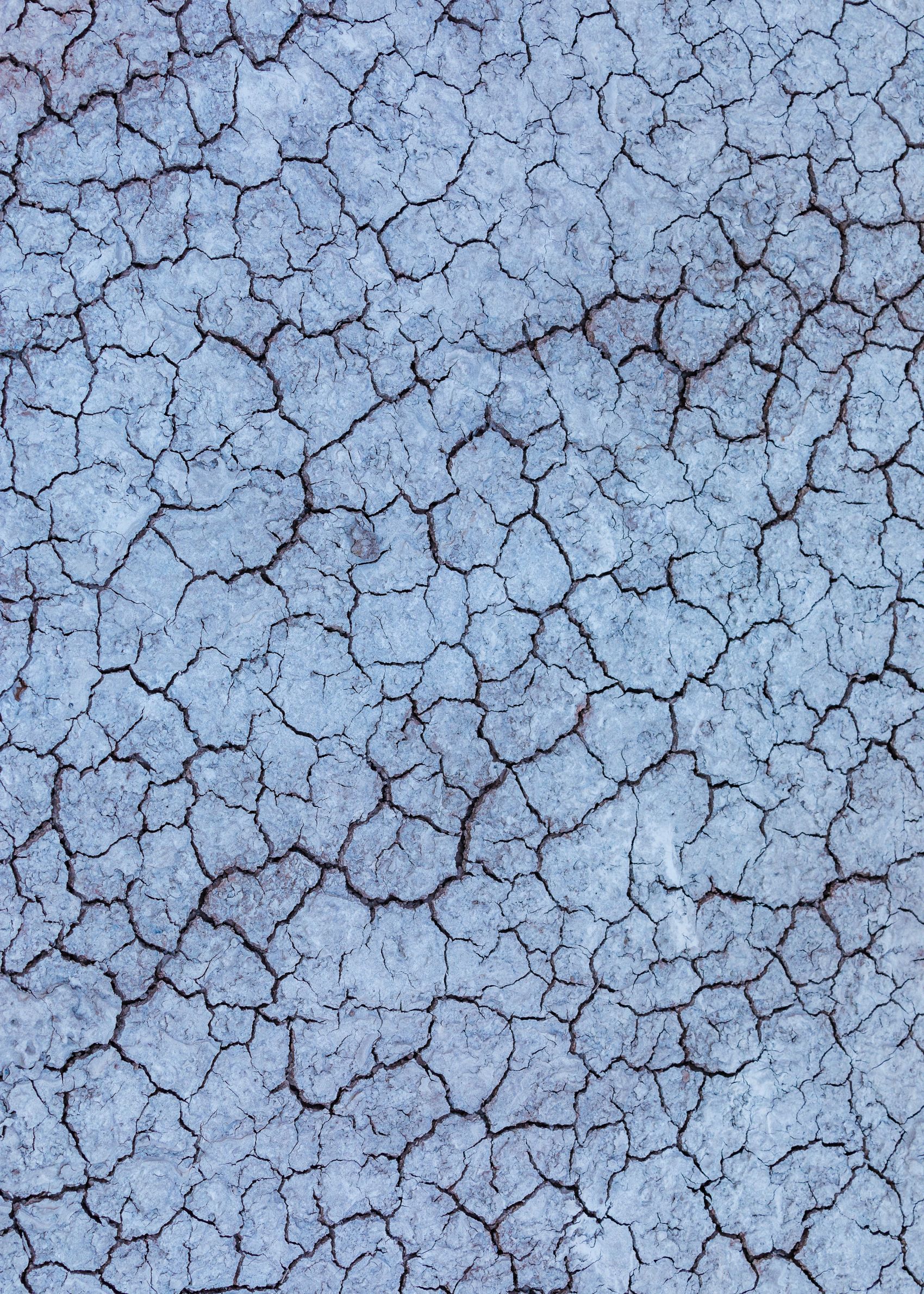 开裂干枯的大地图片