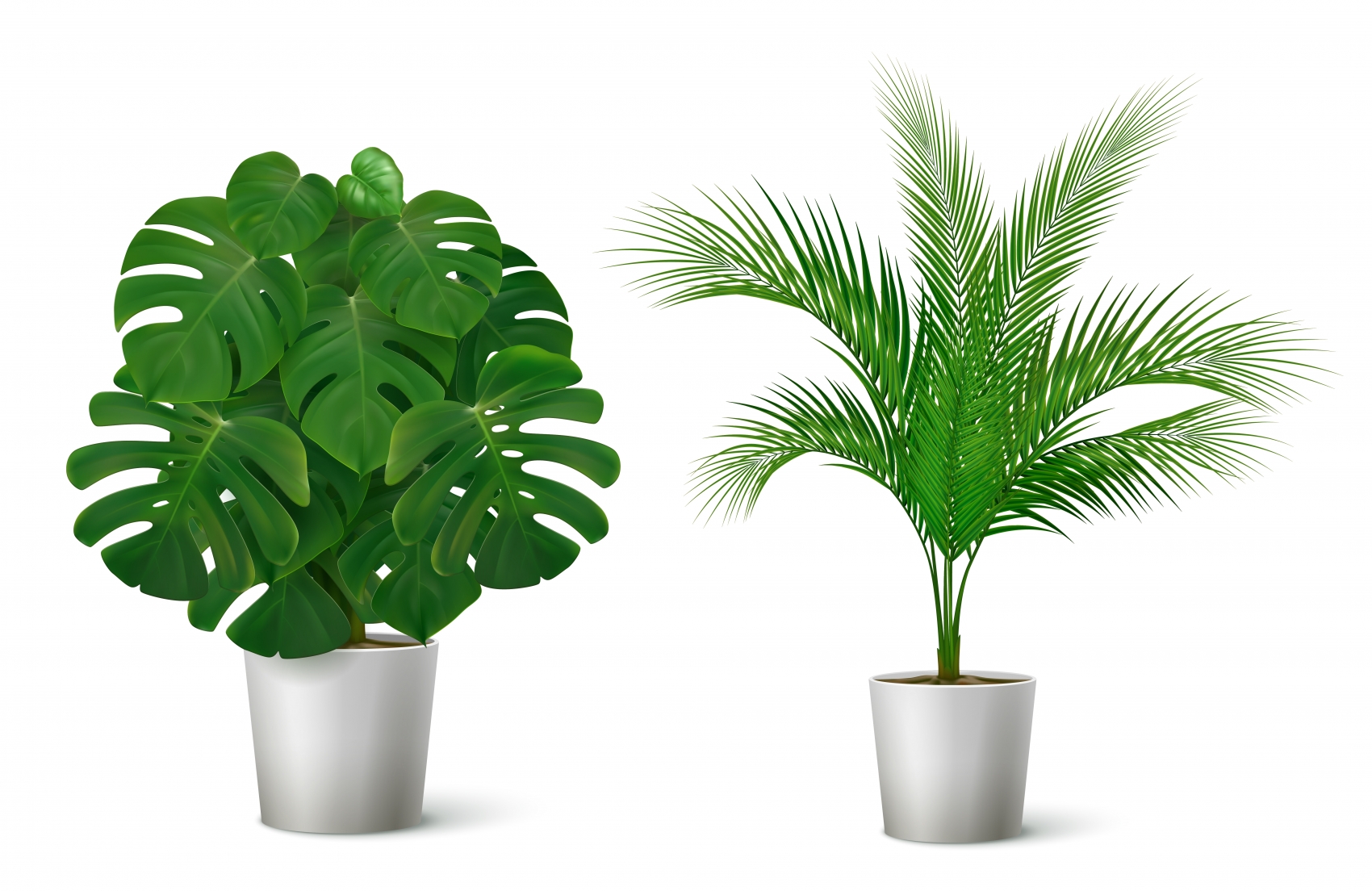盆栽绿色植物素材下载 欧莱凯设计网 08php Com