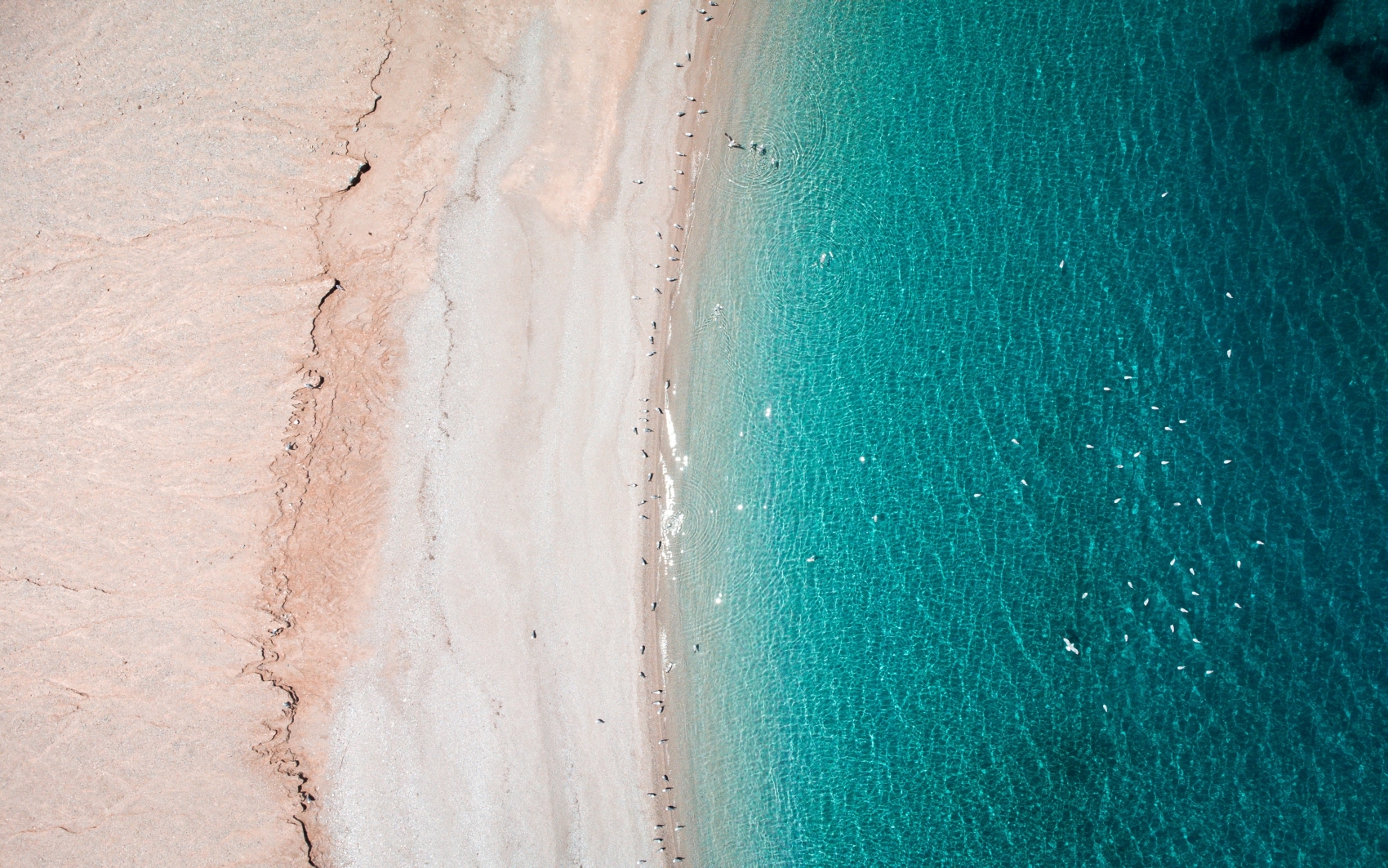 蓝色大海沙滩图片