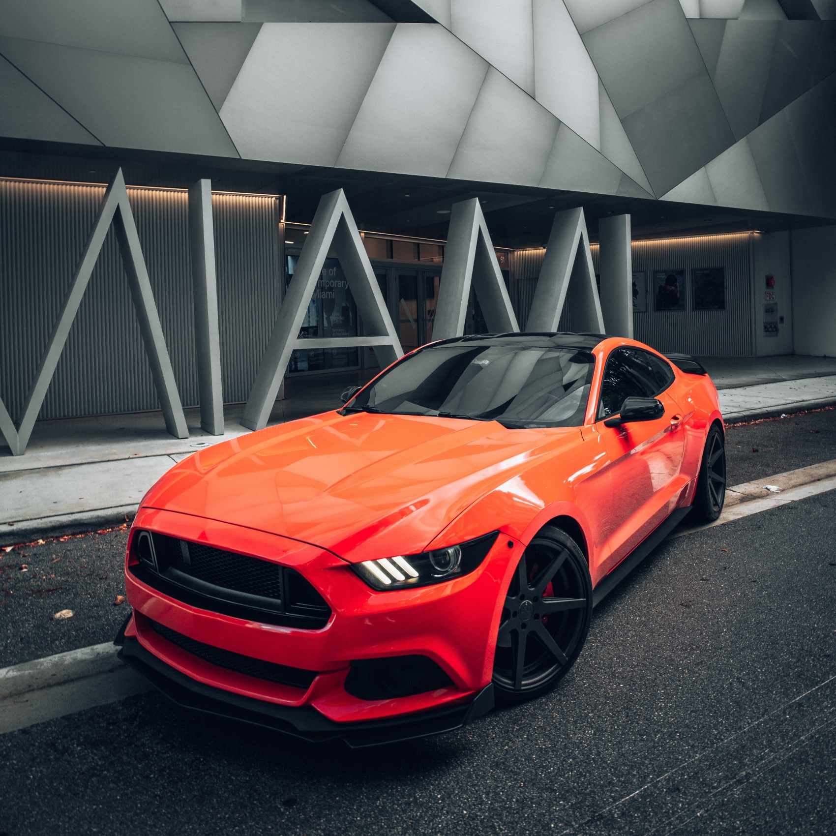 亮丽福特野马汽车图片