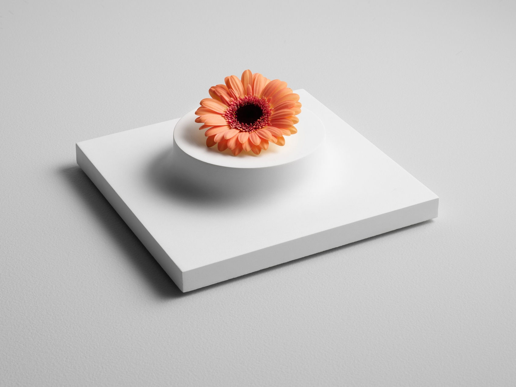 Tom Wood珠宝展示模块封面大图