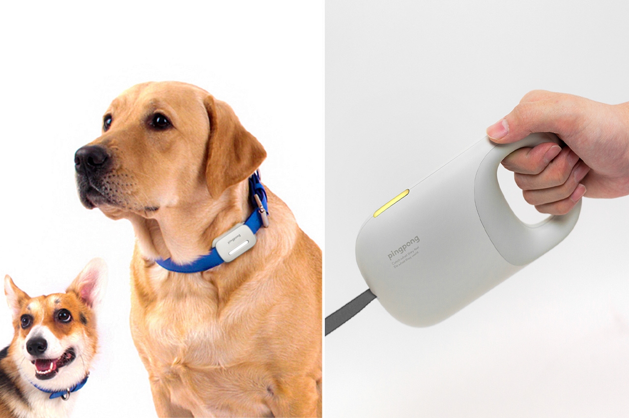 可追踪宠物情绪帮助父母更好沟通的智能狗绳设计图片