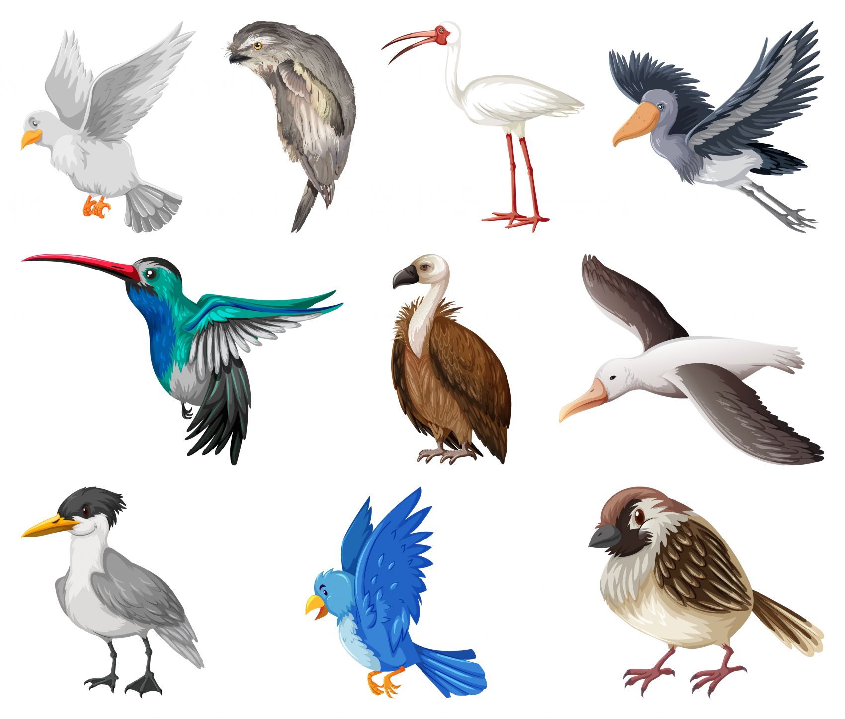 卡通鸟类动物集合素春夏装图片
