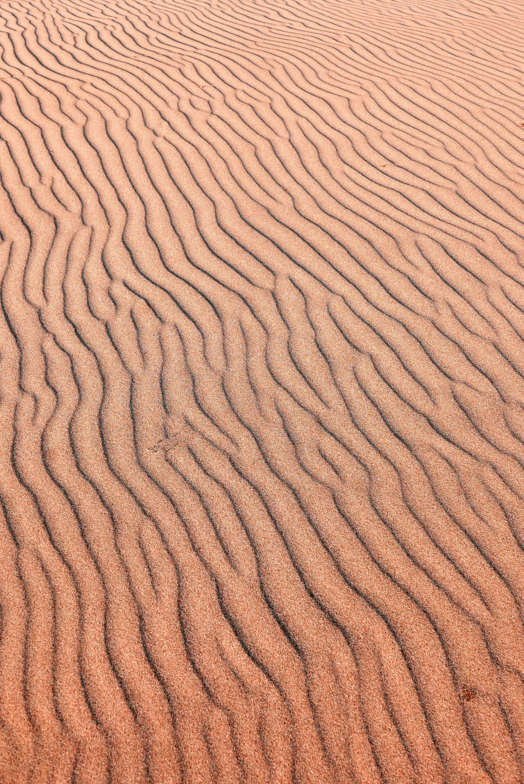 纹路细滑的沙丘图图片