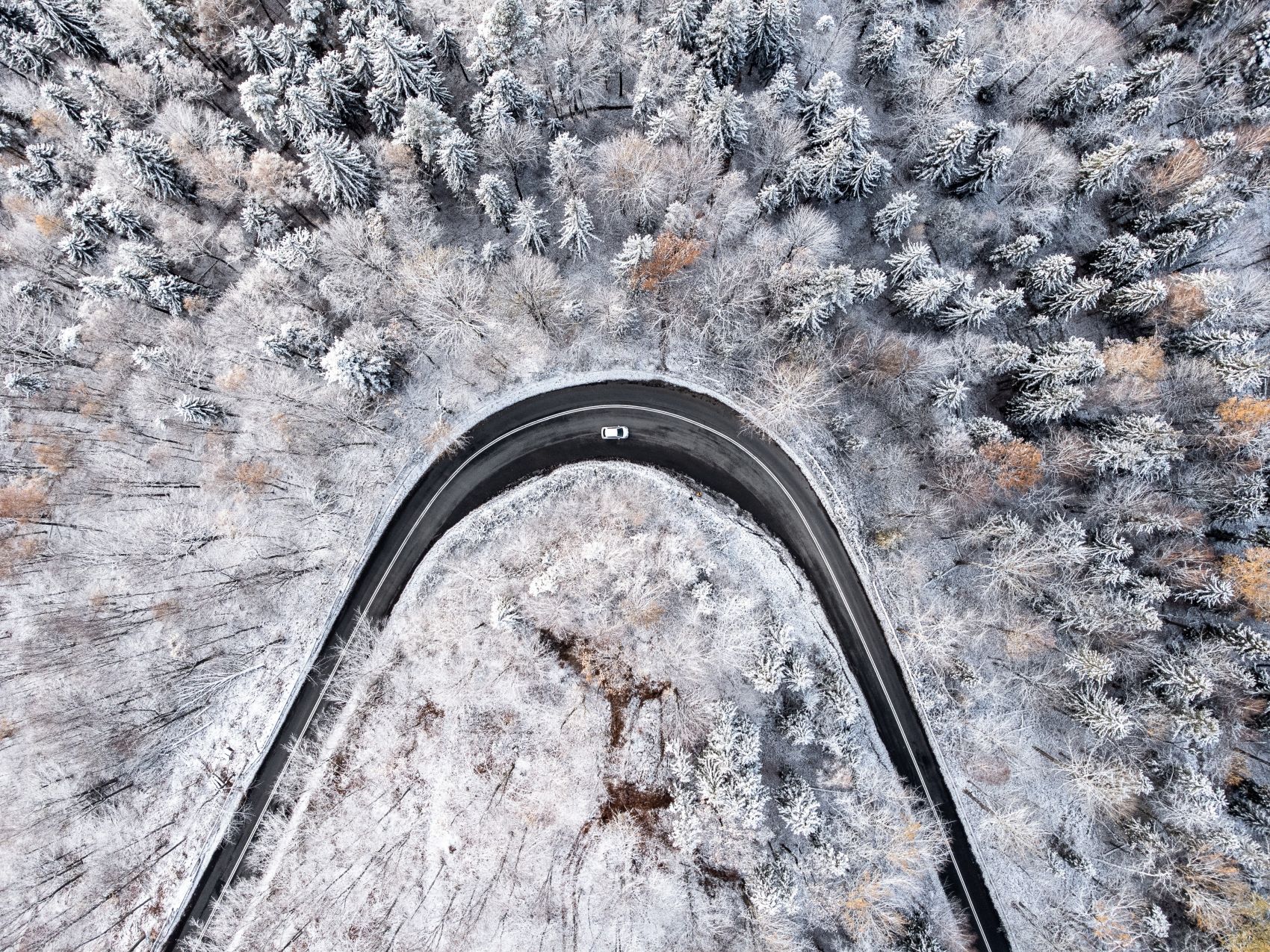 俯拍的森林雪路汽车图片