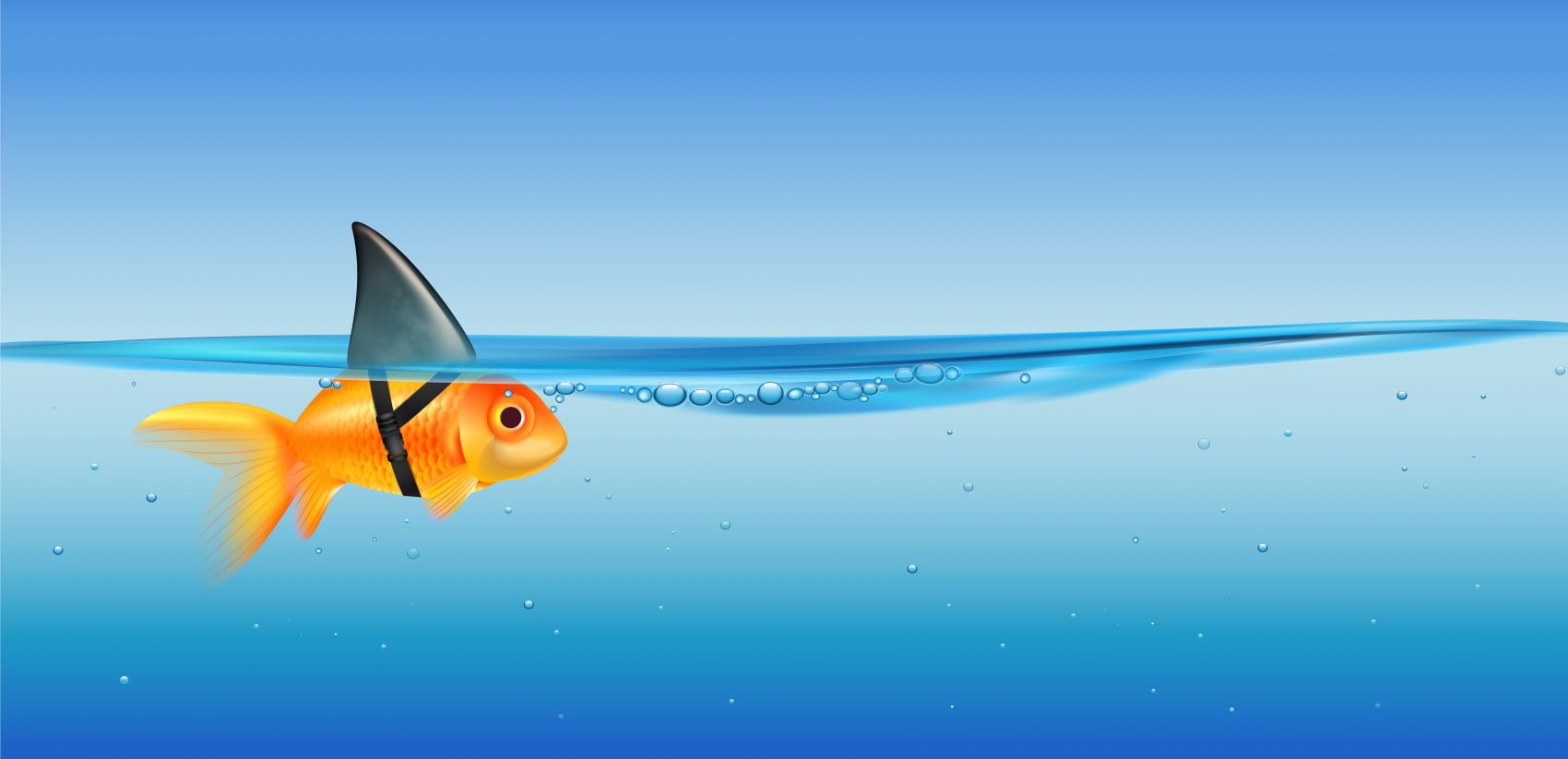 蓝色海域中游泳的假鲨鱼图片