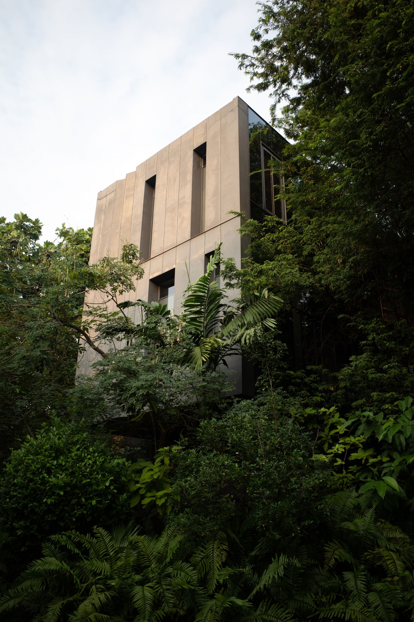 仰拍隐藏在树林中建筑图片