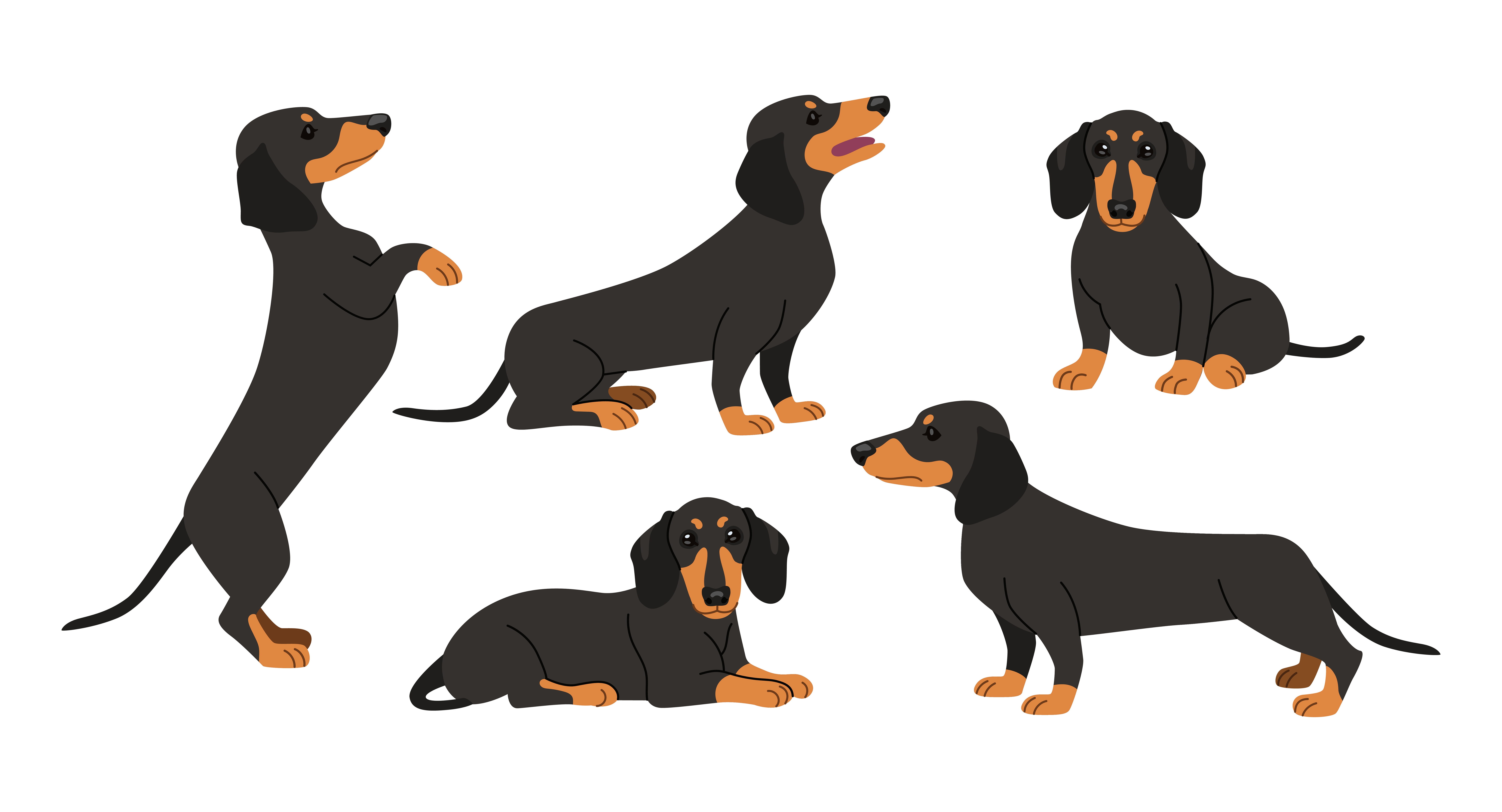 插图可爱的猎犬卡通人物插画图片素材_ID:310913080-Veer图库