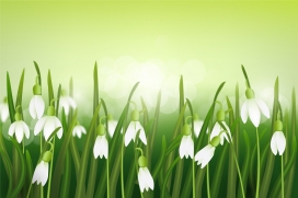 卡通夏雪片莲图素材下载