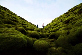 绿色苔藓山丘上的旅行者