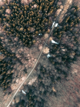 无人机俯拍的森林马路图