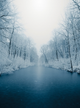 冬季森林河流自然美景图片