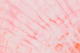 粉红色的液态花纹图