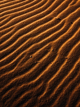 航拍的金色波纹沙漠